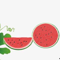 娱乐吃瓜画布背景图片高清