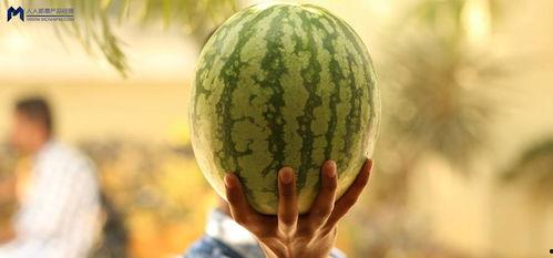 娱乐圈可以吃的大瓜,揭秘明星背后的惊人真相