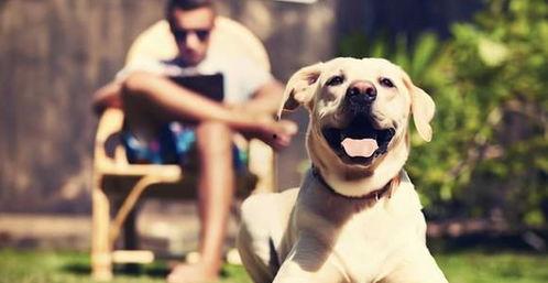 娱乐吃瓜酱千狗,揭秘娱乐圈背后的那些事儿